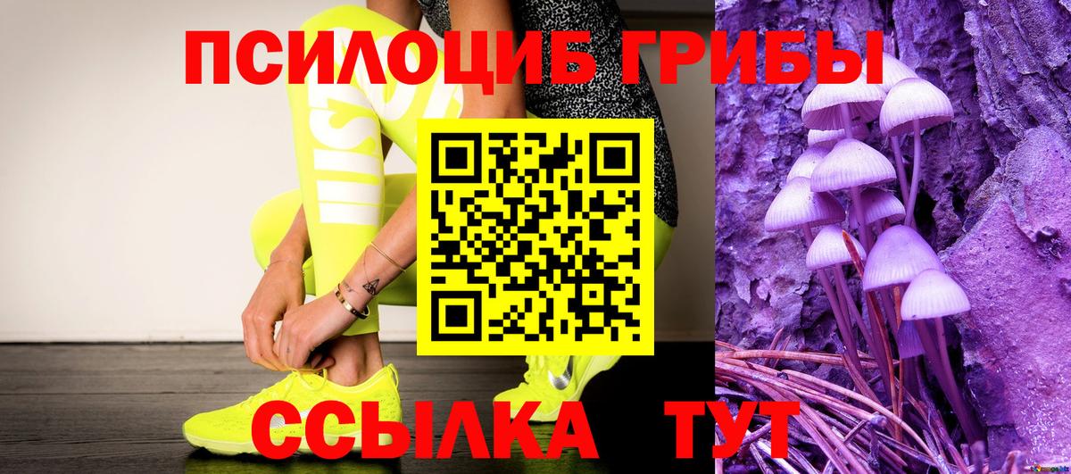 Псилоцибиновые грибы мицелий Лесосибирск