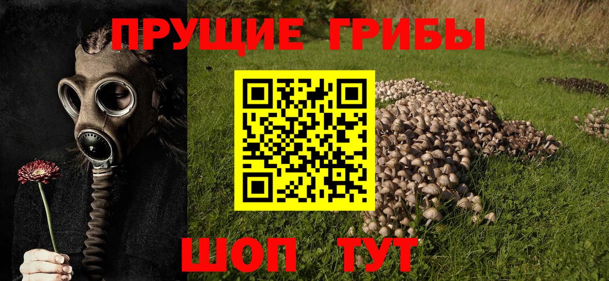 Псилоцибиновые грибы ЛСД  Вход с VPN  Лесосибирск 